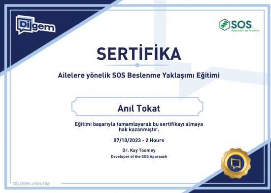 Gebze Psikolog Çocuk Aile Sertifikası